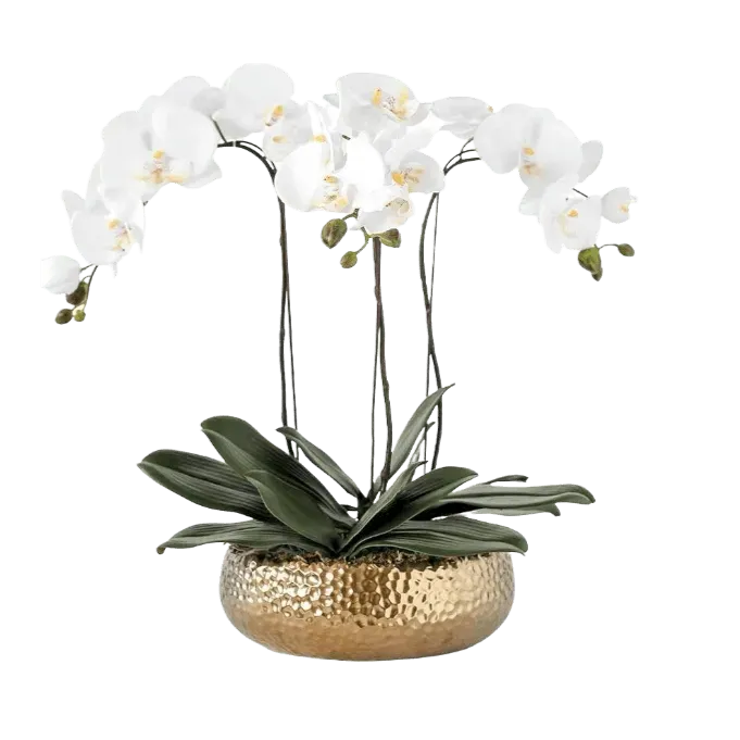 3 Stems White Phalaenopsis Arrangement in Golden Ceramic Pot