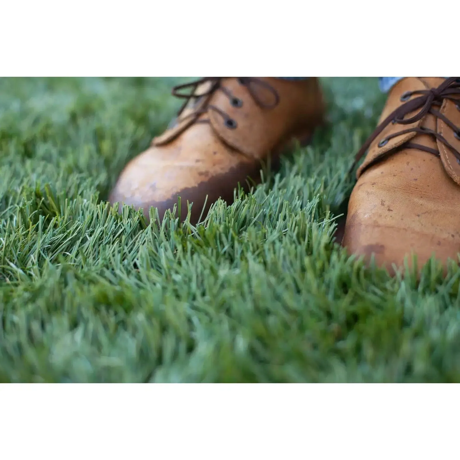 Artificial Lush Green Grass Carpet