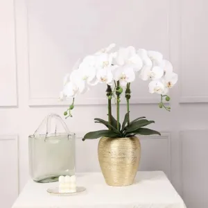 Artificial Orchid Plant in Gold Pot