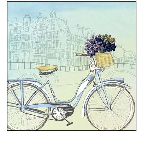 Biking Through Amsterdam