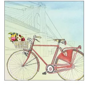 Biking Through New York