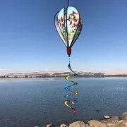 Butterfly Swarm Hot Air Balloon