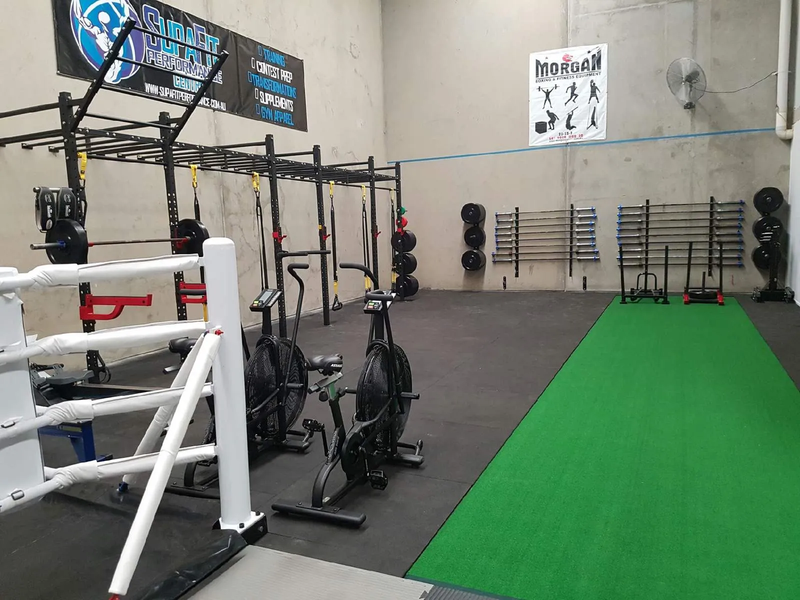 Commercial Gym Astro Turf | 10m X 2m X 1.5m