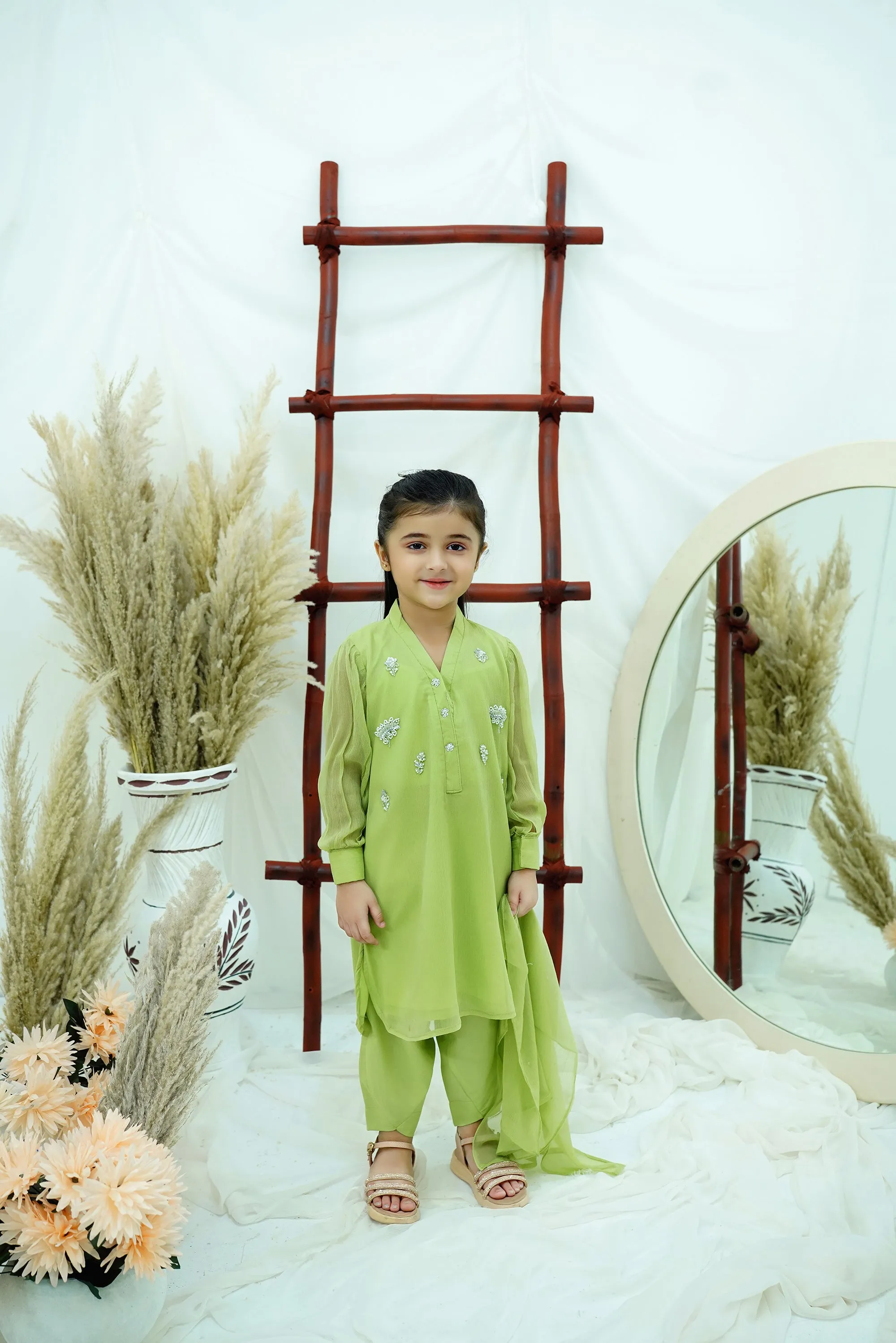 Dhani green Embroidered Chiffon
