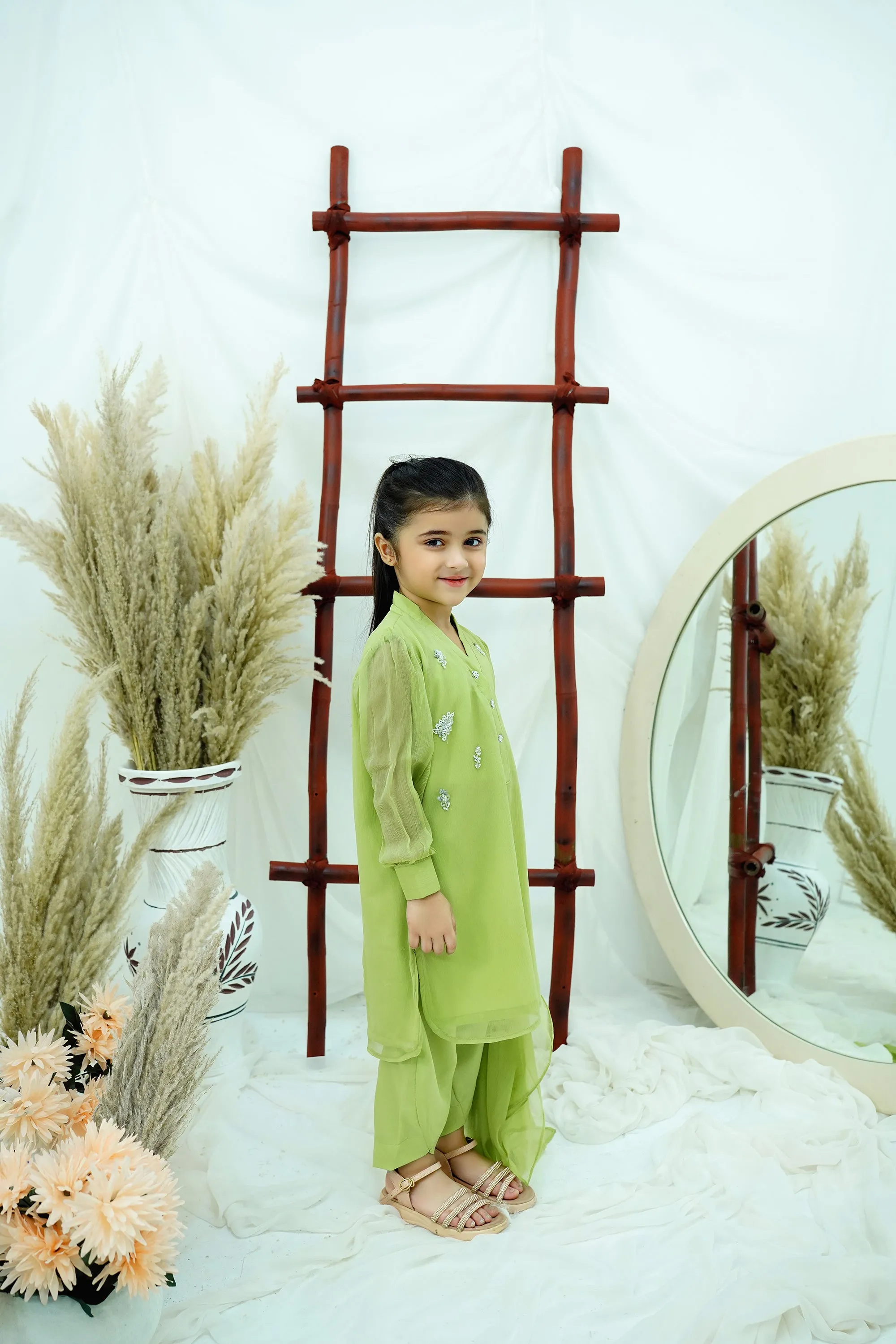 Dhani green Embroidered Chiffon