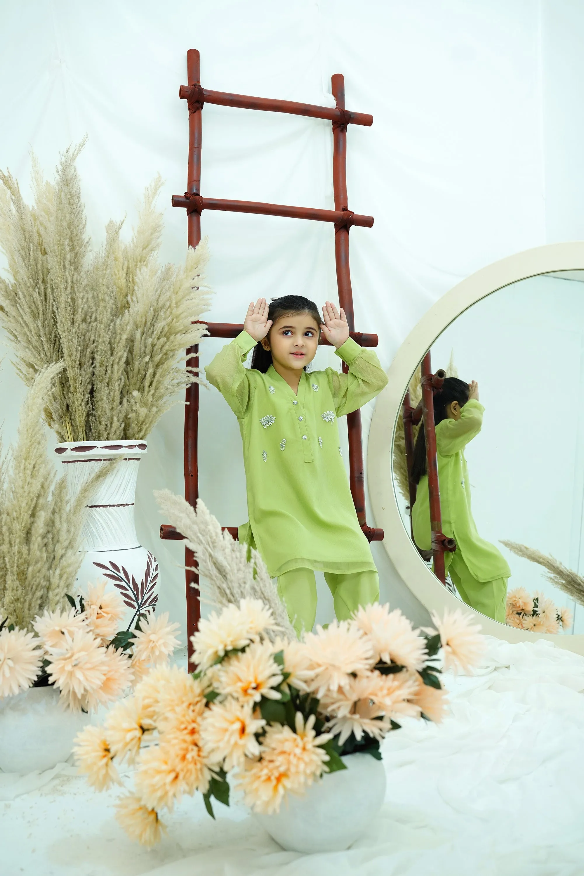 Dhani green Embroidered Chiffon