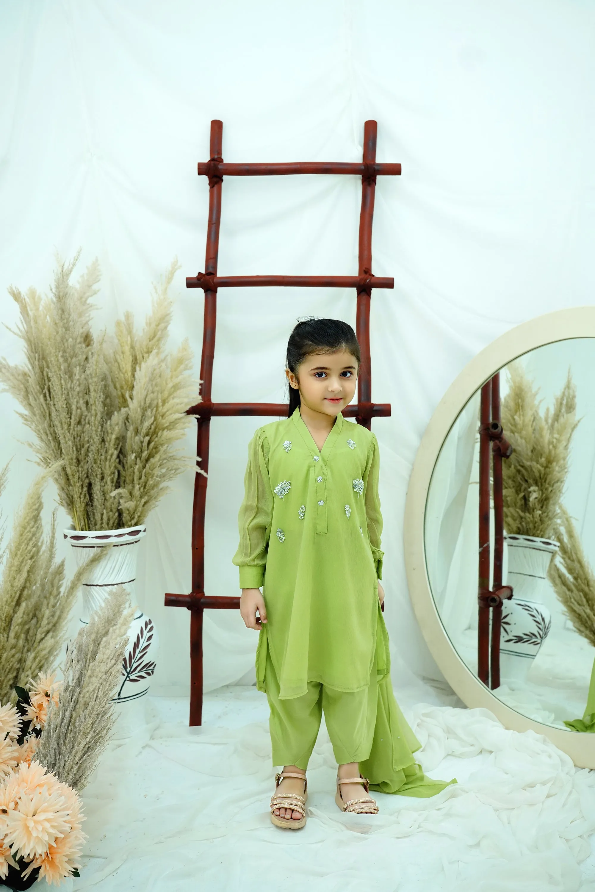Dhani green Embroidered Chiffon