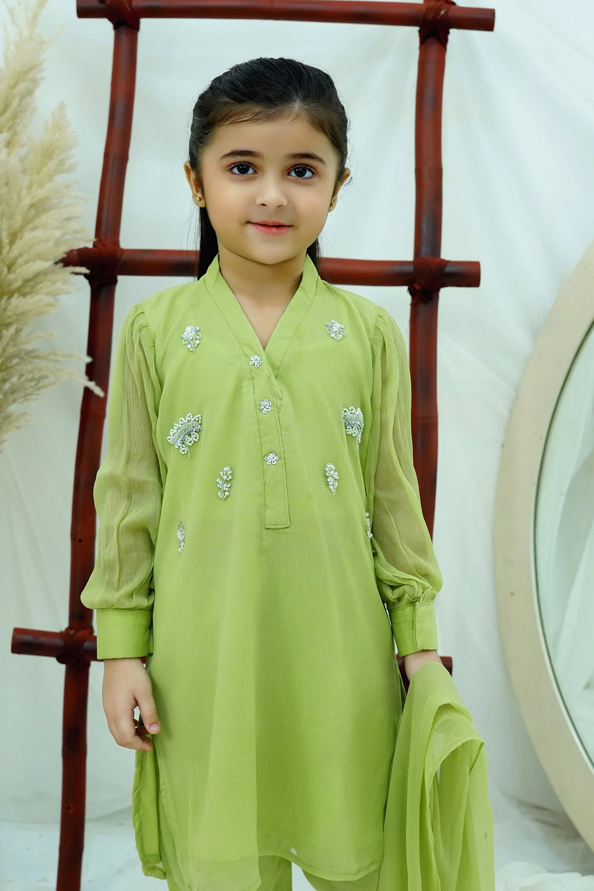 Dhani green Embroidered Chiffon