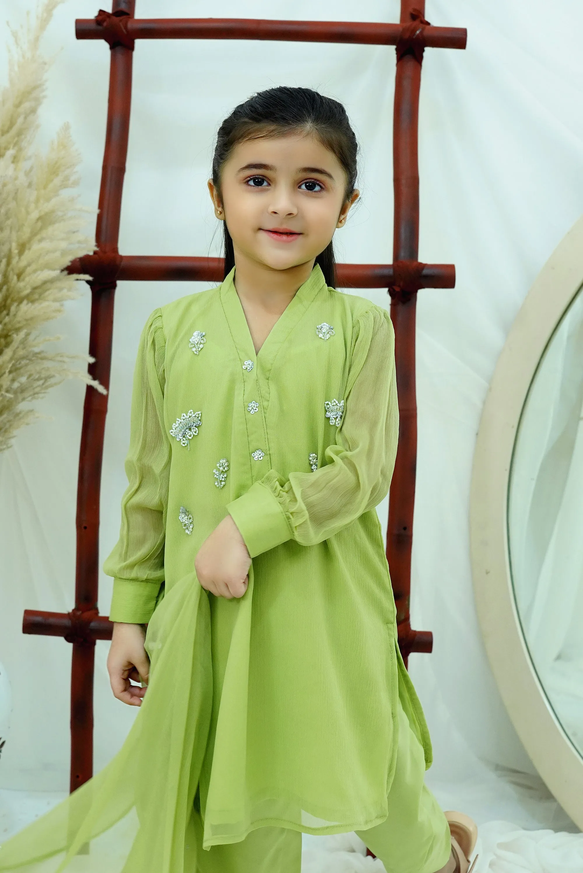 Dhani green Embroidered Chiffon