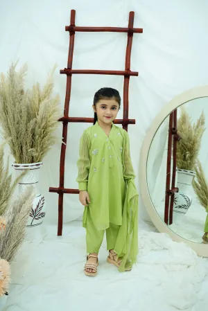 Dhani green Embroidered Chiffon