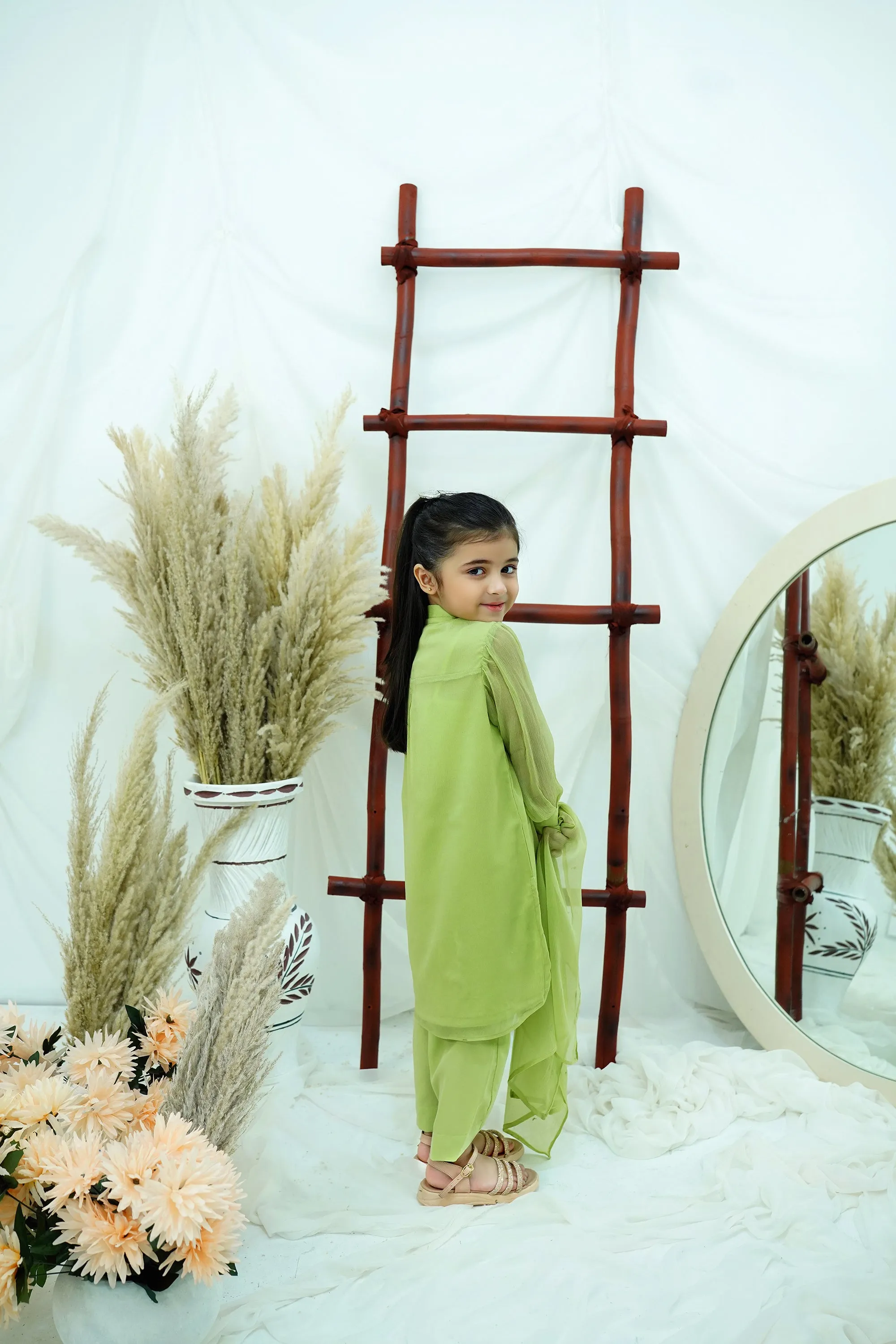 Dhani green Embroidered Chiffon