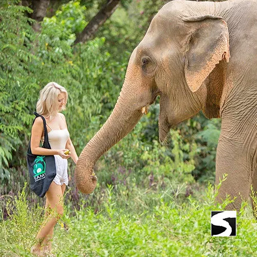 Elephant Sanctuary Samui - Ethical Animal Experience