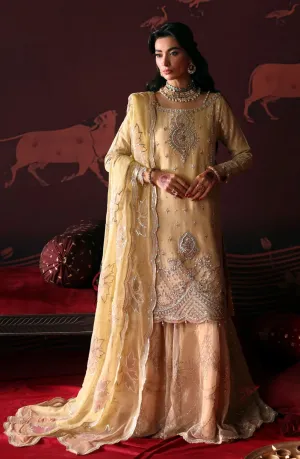 EMAAN ADEEL | Devdas Exclusive Formal Wear '24 | MEERA