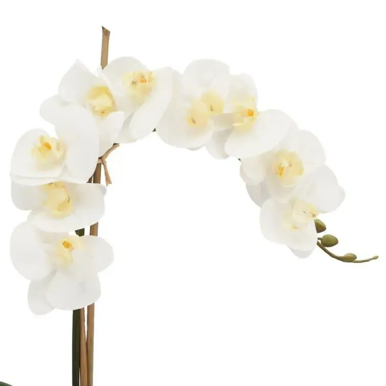 Faux White Phalaenopsis Orchid Arrangement in Glass Vase