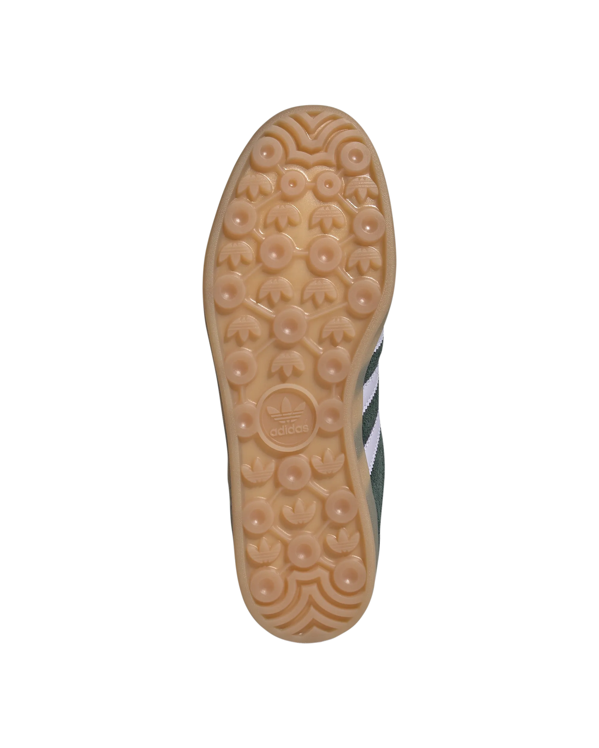 Gazelle Indoor