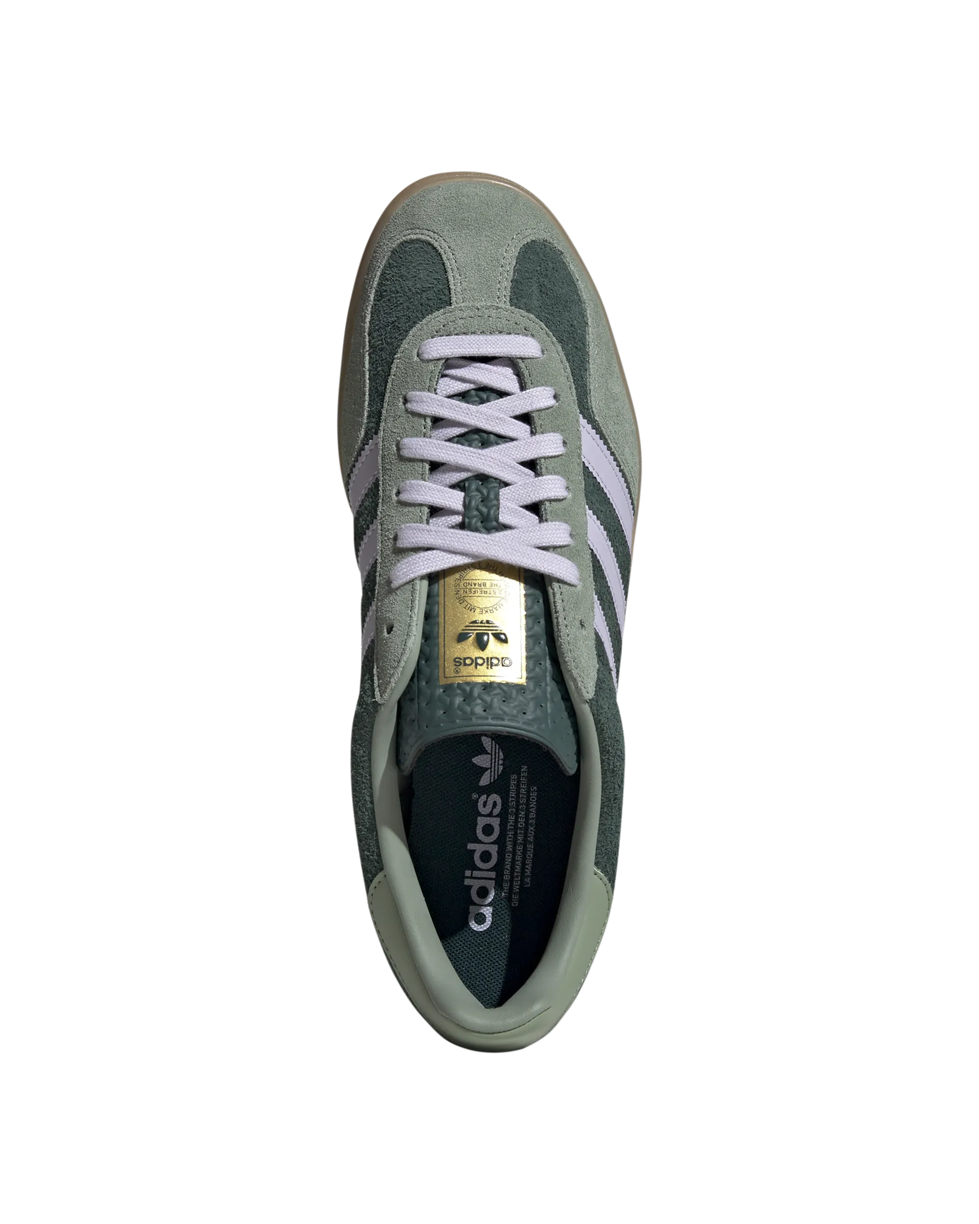 Gazelle Indoor