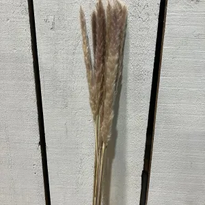 Grass Natural