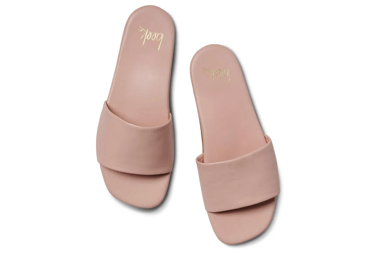 HONEYBIRD - Blush