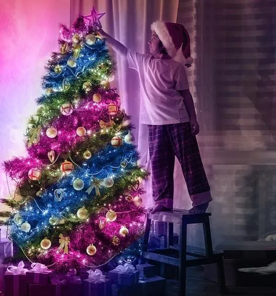 LED String lights - Unique Christmas decoration