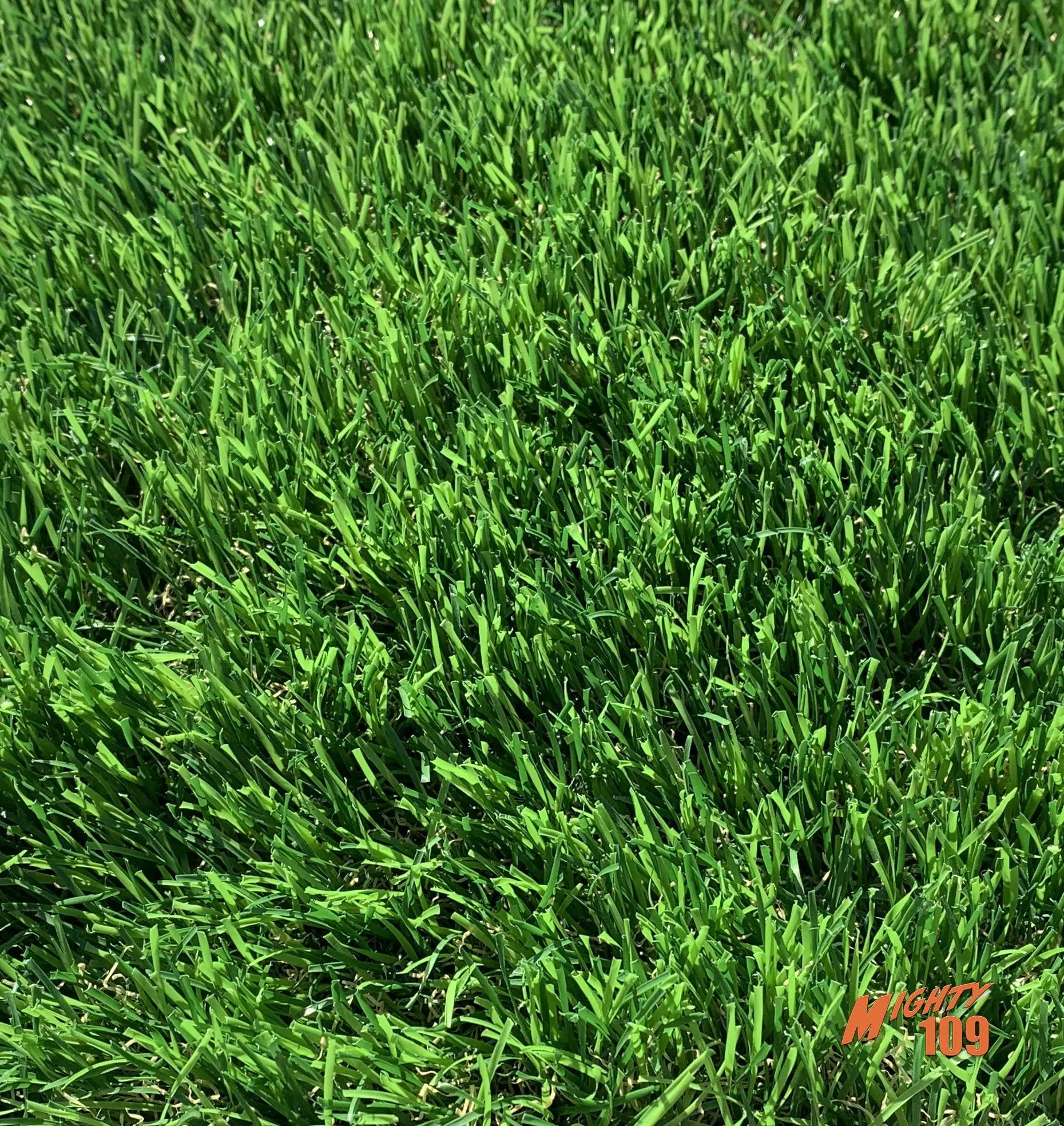 MIGHTY109 "Coastal" Artificial Turf
