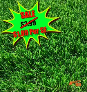 MIGHTY109 "Coastal" Artificial Turf