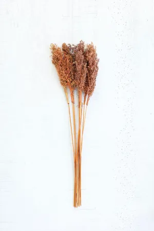 Natural Corn Grass Bundle (Pack of 12)
