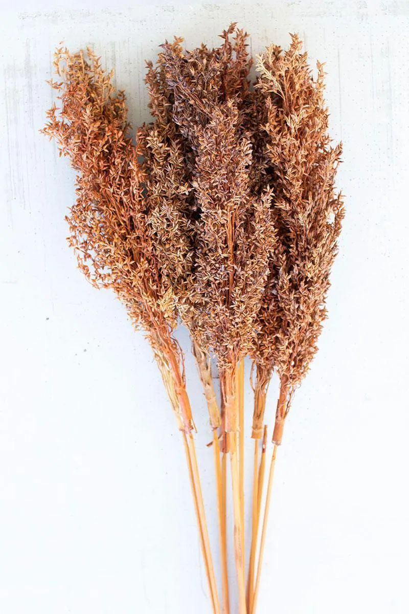 Natural Corn Grass Bundle (Pack of 12)