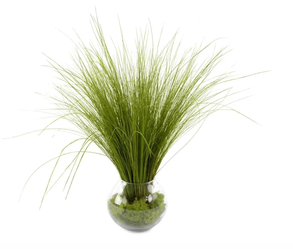 NATURAL GRASS