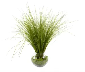 NATURAL GRASS