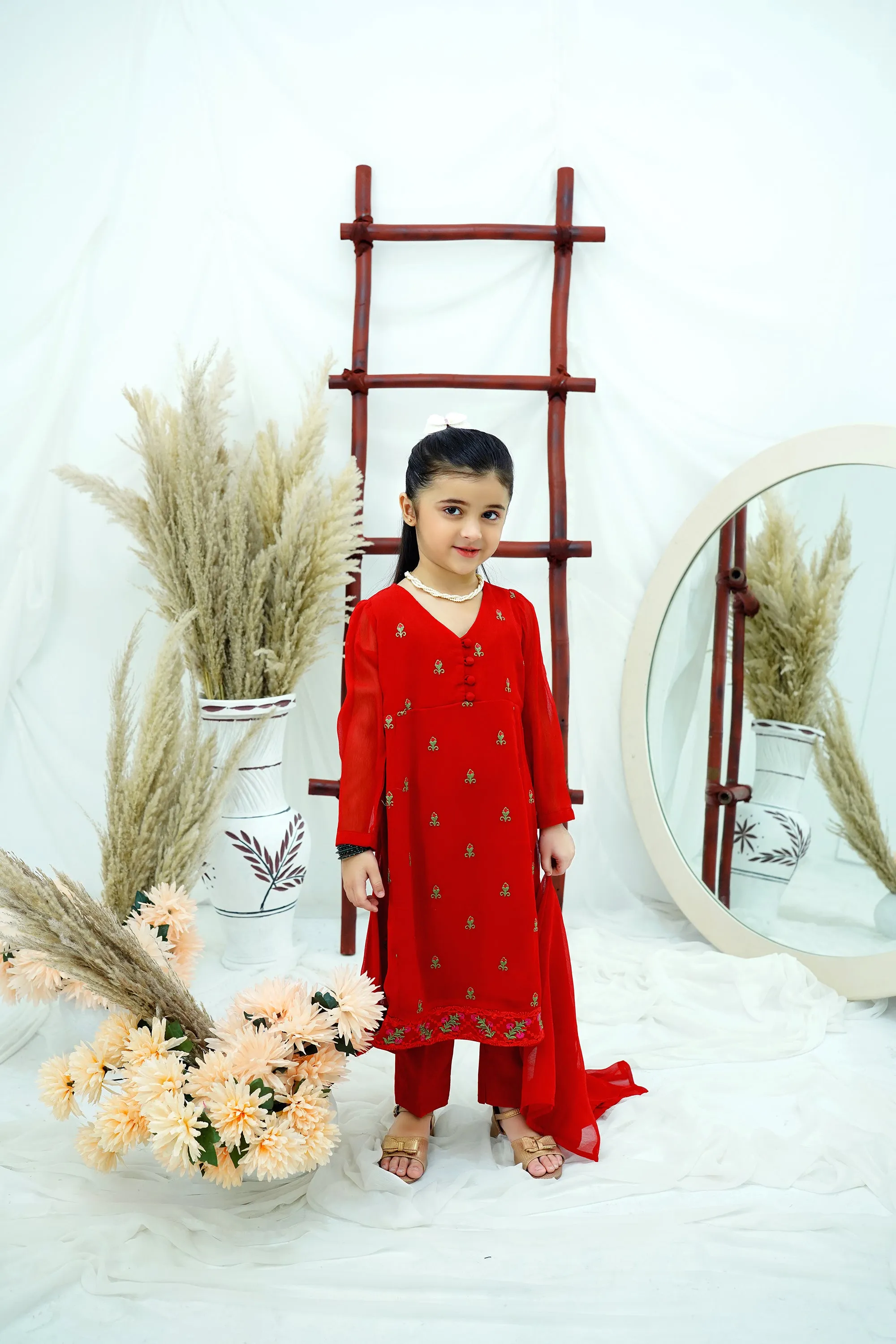 Red Embroidered Chiffon