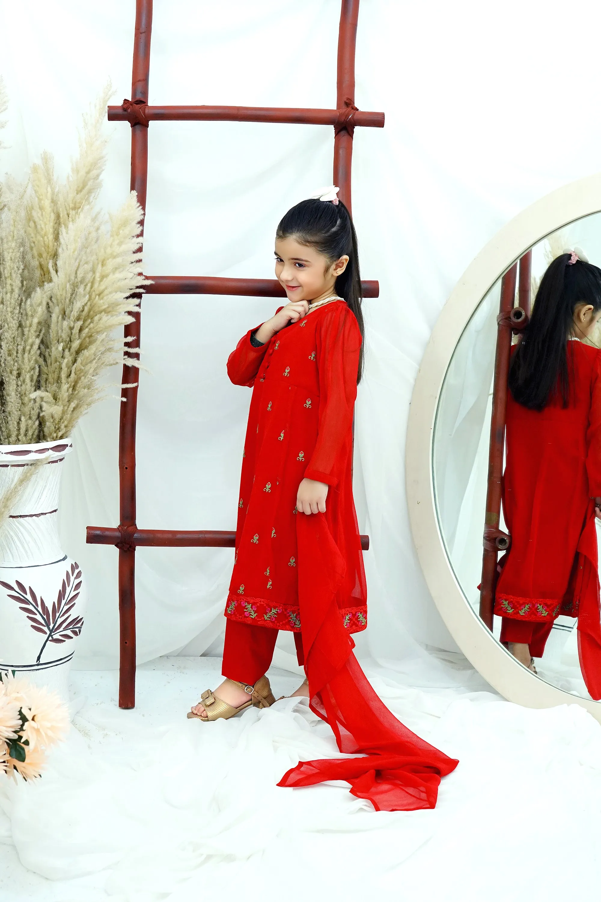 Red Embroidered Chiffon