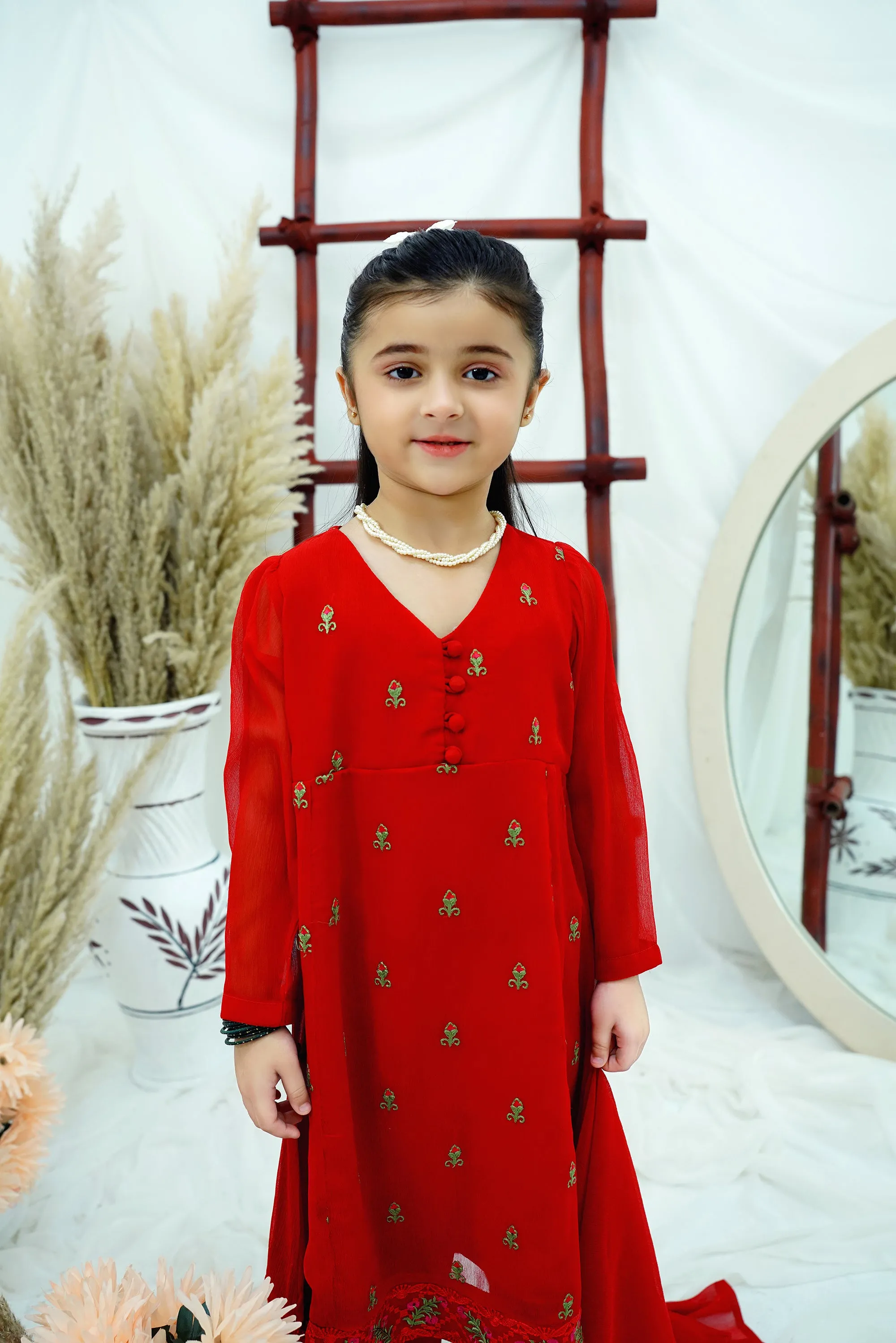 Red Embroidered Chiffon