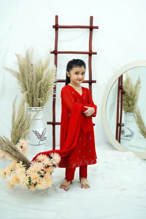 Red Embroidered Chiffon
