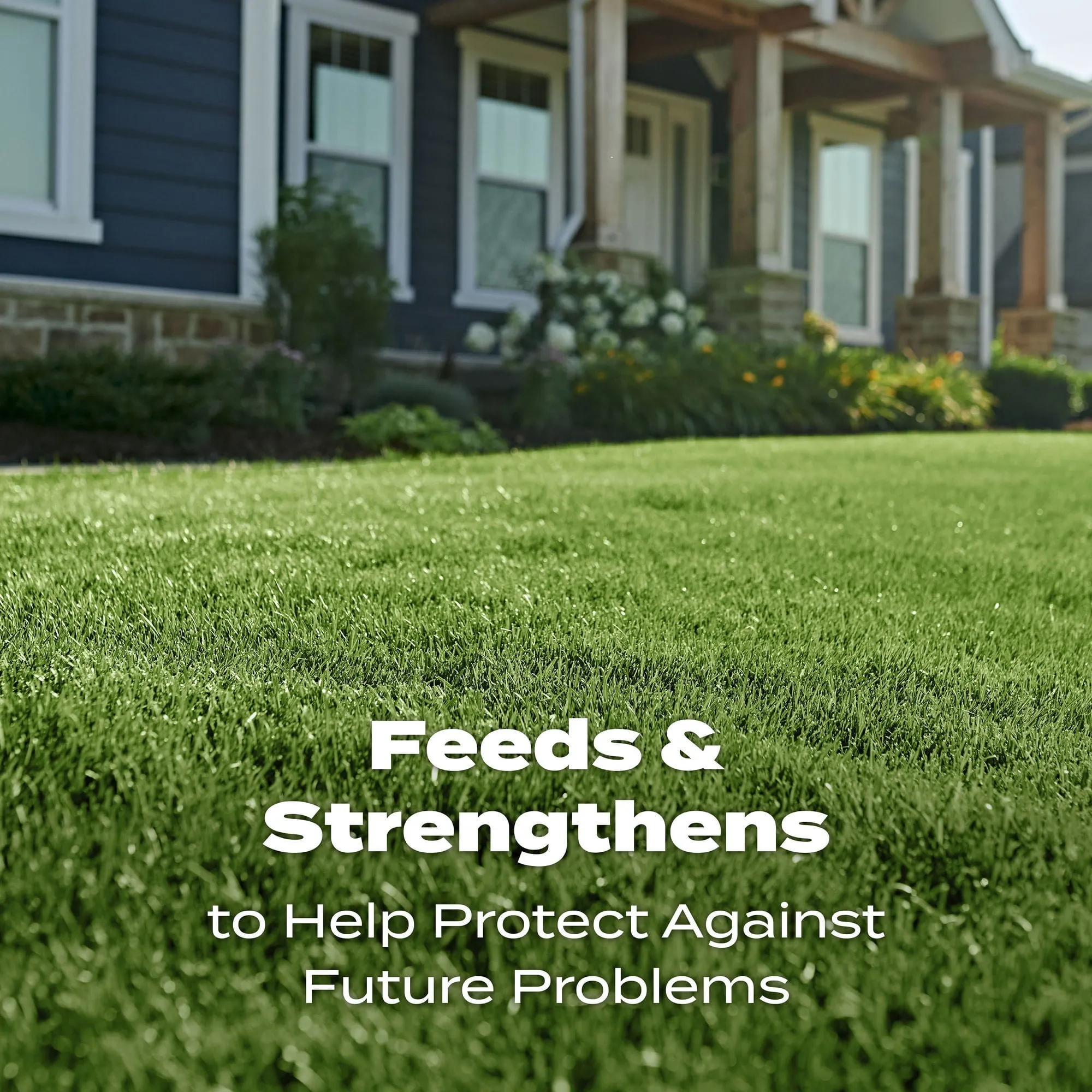 Scotts Turf Builder Lawn Food Northern 12.5 lbs., Covers 5,000 sq. ft.