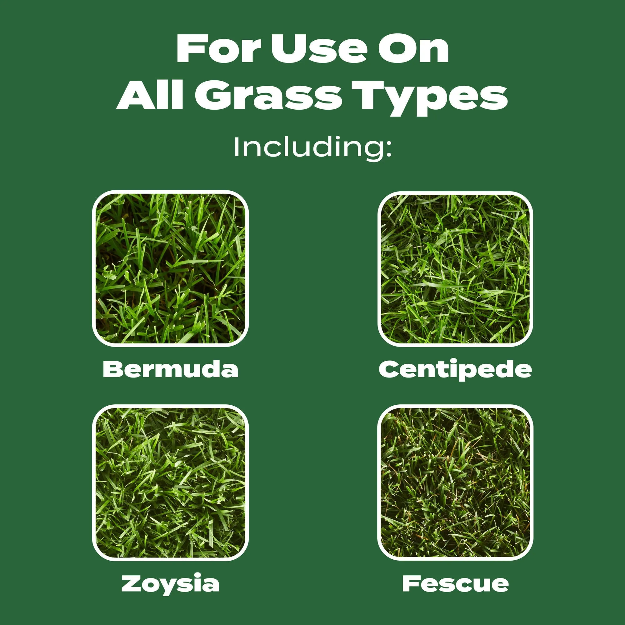 Scotts Turf Builder Lawn Food Northern 12.5 lbs., Covers 5,000 sq. ft.