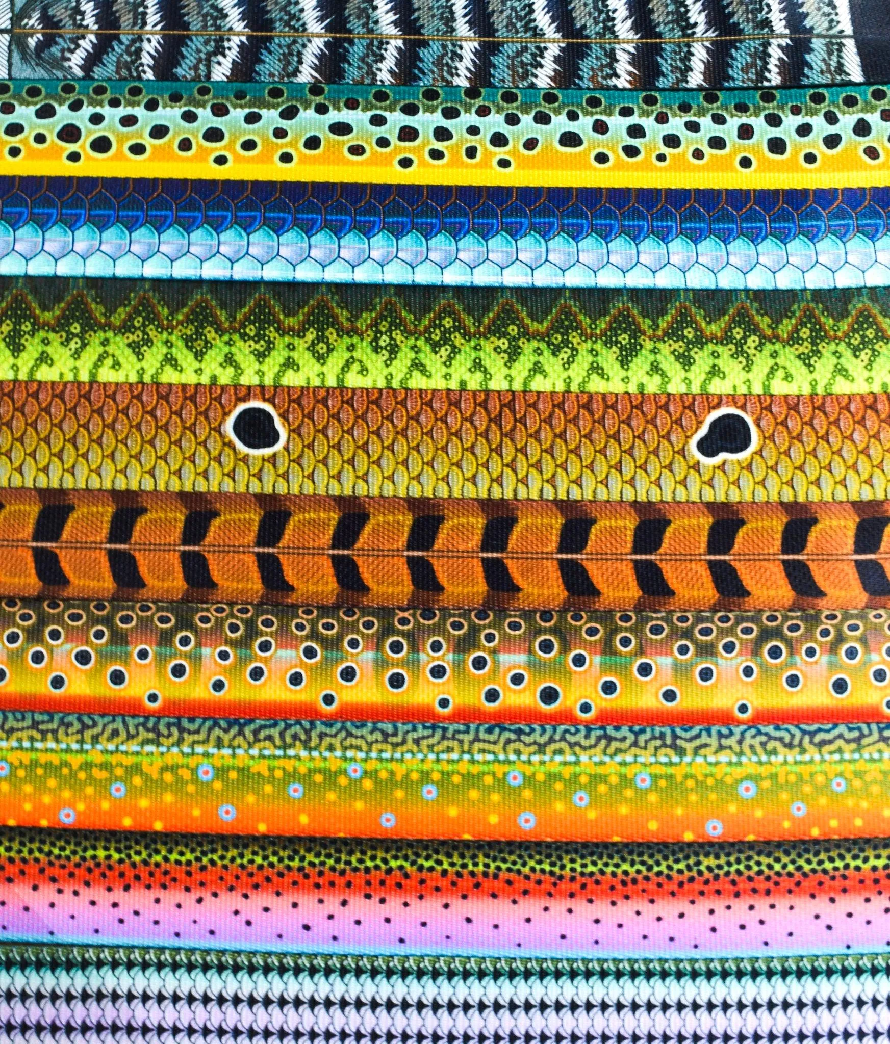 Whiskey Surf & Turf Belts