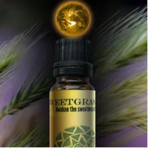 World Magic Oil Sweetgrass