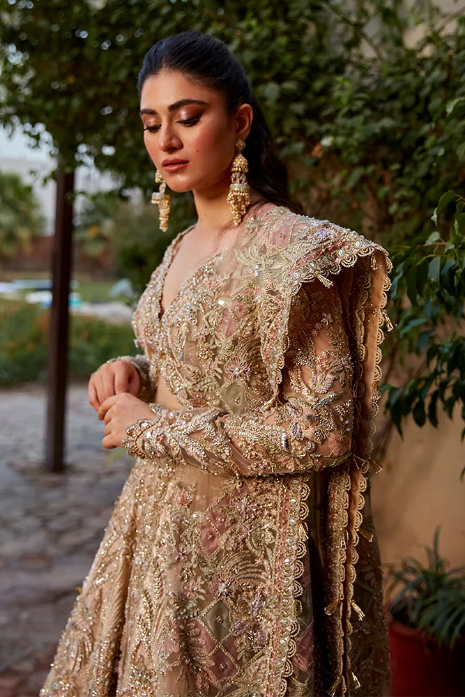 ZORA | Suffuse Aab-e-Zar Luxury Wedding Collection 2022 | Stitched Reay to Wear Embelished Bridal Suits